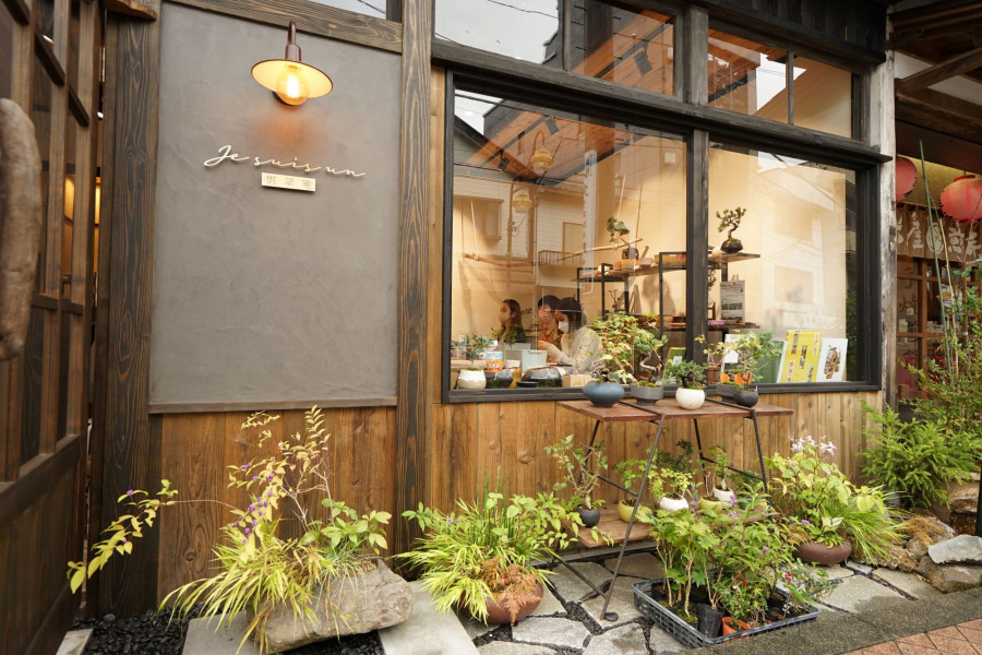 汤河原万叶子盆栽 树翠庵 