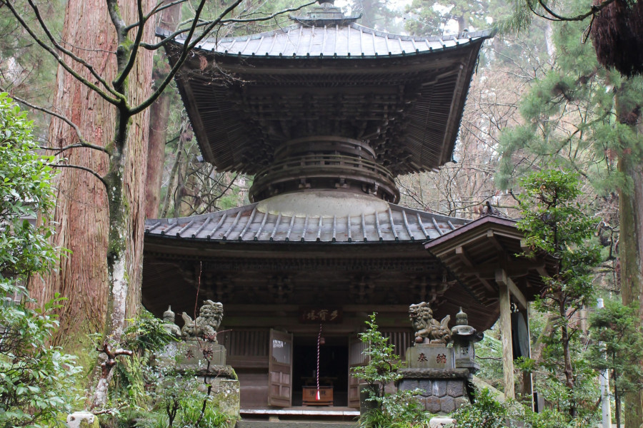 在最乘寺与志愿导览员一起体验禅宗灵修之旅
