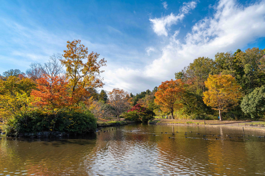 อุทยานธรรมชาติสำหรับเด็ก (สวนโออิเกะ)